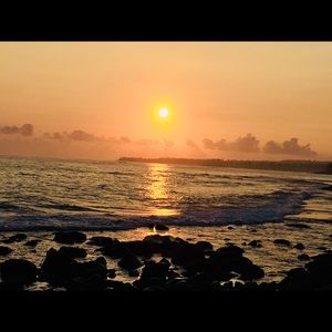 Meet your Posher, Shelly